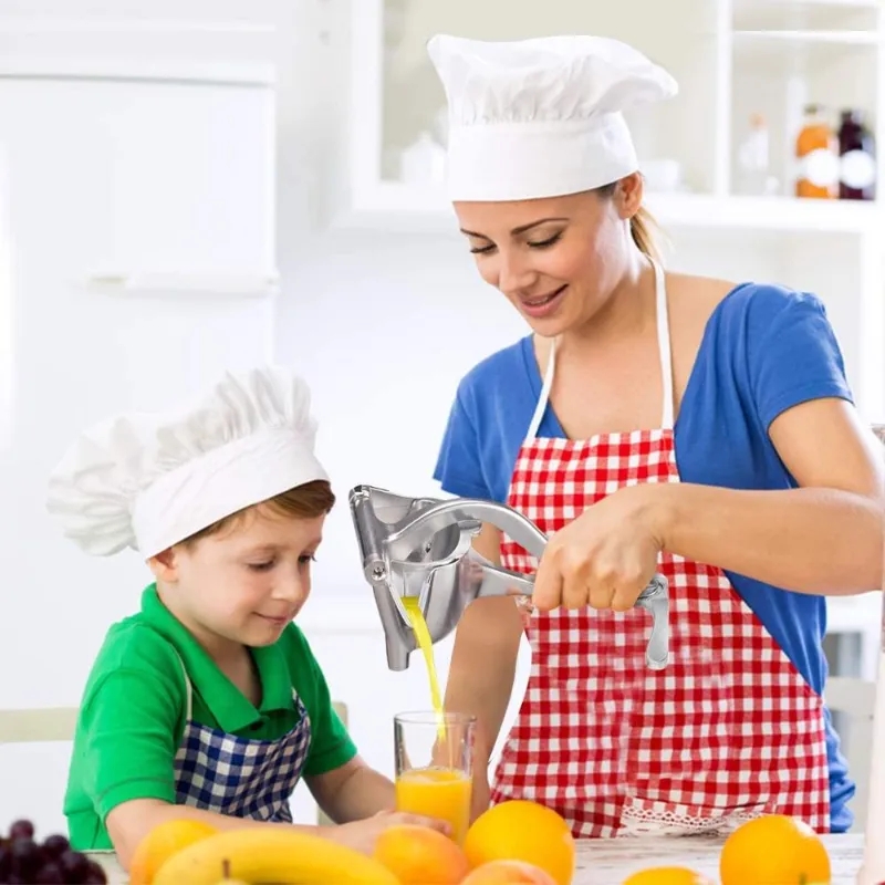 2026 Manual Juice Squeezer Alu - огляд і ціна Kitchen Gadgets Juicer